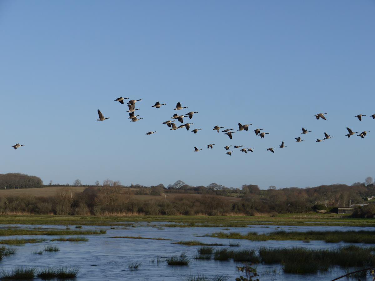 The Lodge On The Marsh Brading Екстер'єр фото