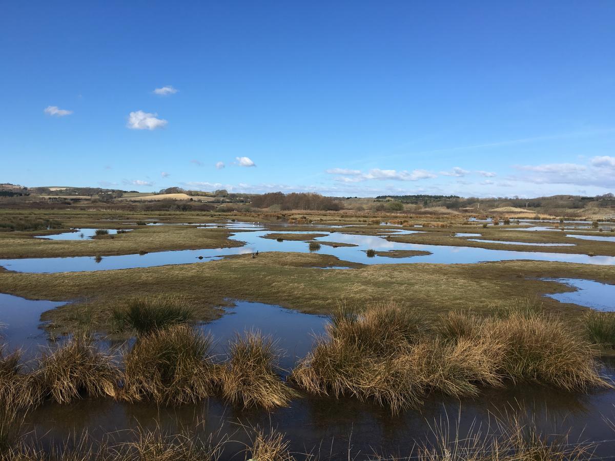 The Lodge On The Marsh Brading Екстер'єр фото